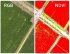 Квадрокоптер DJI Phantom 4 Multispectral + Мобильная станция D-RTK 2 High Precision GNSS в Самаре