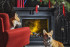Портал Dimplex Coventry Graphite Grey - Серый графит в Самаре