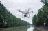 Сельскохозяйственный квадрокоптер DJI Phantom 4 мультиспектральный в Самаре