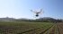 Сельскохозяйственный квадрокоптер DJI Phantom 4 мультиспектральный в Самаре